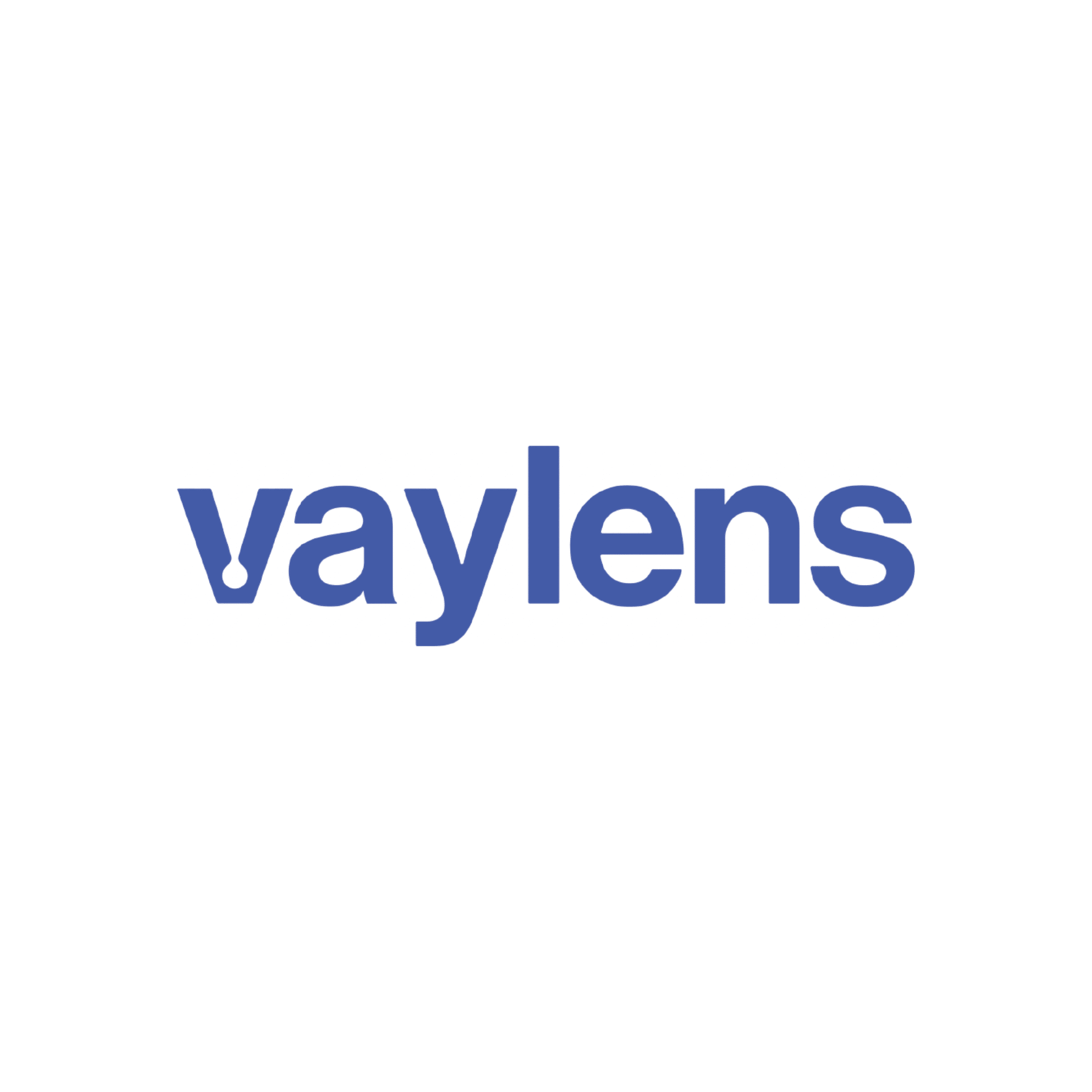 Vaylens – Partner Logos Homepage Kopie